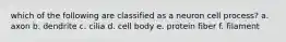 which of the following are classified as a neuron cell process? a. axon b. dendrite c. cilia d. cell body e. protein fiber f. filament