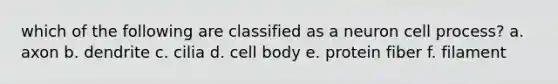 which of the following are classified as a neuron cell process? a. axon b. dendrite c. cilia d. cell body e. protein fiber f. filament