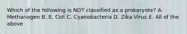 Which of the following is NOT classified as a prokaryote? A. Methanogen B. E. Coli C. Cyanobacteria D. Zika Virus E. All of the above