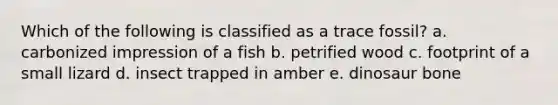 Which of the following is classified as a trace fossil? a. carbonized impression of a fish b. petrified wood c. footprint of a small lizard d. insect trapped in amber e. dinosaur bone