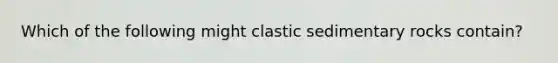 Which of the following might clastic sedimentary rocks contain?