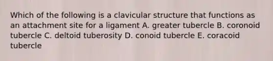 Which of the following is a clavicular structure that functions as an attachment site for a ligament A. greater tubercle B. coronoid tubercle C. deltoid tuberosity D. conoid tubercle E. coracoid tubercle