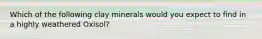 Which of the following clay minerals would you expect to find in a highly weathered Oxisol?