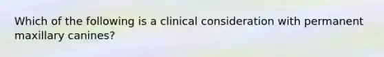 Which of the following is a clinical consideration with permanent maxillary canines?