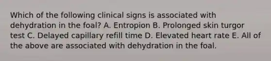 Which of the following clinical signs is associated with dehydration in the foal? A. Entropion B. Prolonged skin turgor test C. Delayed capillary refill time D. Elevated heart rate E. All of the above are associated with dehydration in the foal.