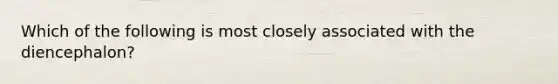 Which of the following is most closely associated with the diencephalon?