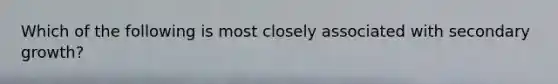 Which of the following is most closely associated with secondary growth?