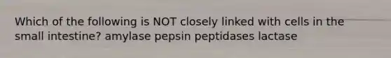 Which of the following is NOT closely linked with cells in the small intestine? amylase pepsin peptidases lactase