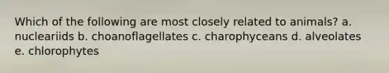 Which of the following are most closely related to animals? a. nucleariids b. choanoflagellates c. charophyceans d. alveolates e. chlorophytes