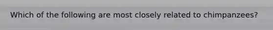 Which of the following are most closely related to chimpanzees?