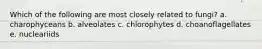 Which of the following are most closely related to fungi? a. charophyceans b. alveolates c. chlorophytes d. choanoflagellates e. nucleariids