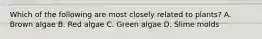 Which of the following are most closely related to plants? A. Brown algae B. Red algae C. Green algae D. Slime molds