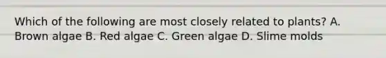 Which of the following are most closely related to plants? A. Brown algae B. Red algae C. Green algae D. <a href='https://www.questionai.com/knowledge/kHvmUbfxIK-slime-molds' class='anchor-knowledge'>slime molds</a>