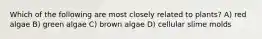 Which of the following are most closely related to plants? A) red algae B) green algae C) brown algae D) cellular slime molds