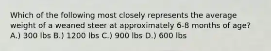 Which of the following most closely represents the average weight of a weaned steer at approximately 6-8 months of age? A.) 300 lbs B.) 1200 lbs C.) 900 lbs D.) 600 lbs