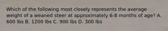 Which of the following most closely represents the average weight of a weaned steer at approximately 6-8 months of age? A. 600 lbs B. 1200 lbs C. 900 lbs D. 300 lbs