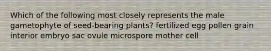 Which of the following most closely represents the male gametophyte of seed-bearing plants? fertilized egg pollen grain interior embryo sac ovule microspore mother cell