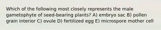 Which of the following most closely represents the male gametophyte of seed-bearing plants? A) embryo sac B) pollen grain interior C) ovule D) fertilized egg E) microspore mother cell