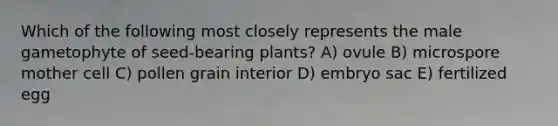 Which of the following most closely represents the male gametophyte of seed-bearing plants? A) ovule B) microspore mother cell C) pollen grain interior D) embryo sac E) fertilized egg