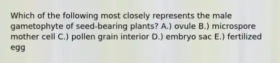 Which of the following most closely represents the male gametophyte of seed-bearing plants? A.) ovule B.) microspore mother cell C.) pollen grain interior D.) embryo sac E.) fertilized egg