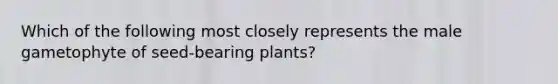 Which of the following most closely represents the male gametophyte of seed-bearing plants?