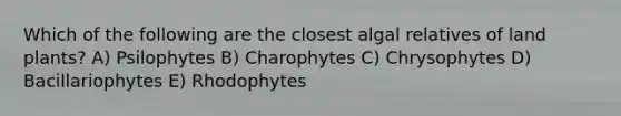 Which of the following are the closest algal relatives of land plants? A) Psilophytes B) Charophytes C) Chrysophytes D) Bacillariophytes E) Rhodophytes