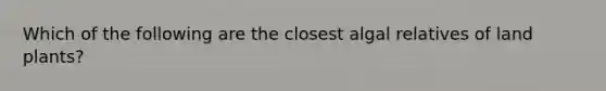 Which of the following are the closest algal relatives of land plants?
