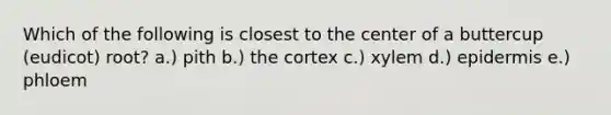 Which of the following is closest to the center of a buttercup (eudicot) root? a.) pith b.) the cortex c.) xylem d.) epidermis e.) phloem