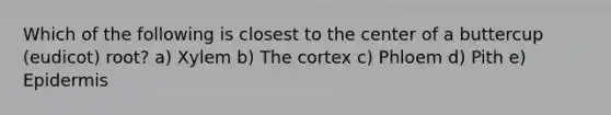 Which of the following is closest to the center of a buttercup (eudicot) root? a) Xylem b) The cortex c) Phloem d) Pith e) Epidermis