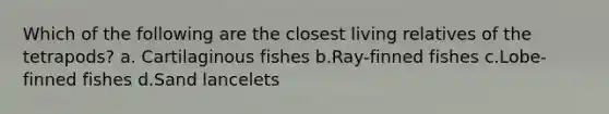 Which of the following are the closest living relatives of the tetrapods? a. Cartilaginous fishes b.Ray-finned fishes c.Lobe-finned fishes d.Sand lancelets