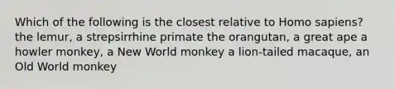 Which of the following is the closest relative to Homo sapiens? the lemur, a strepsirrhine primate the orangutan, a great ape a howler monkey, a New World monkey a lion-tailed macaque, an Old World monkey