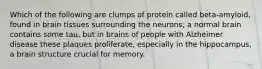 Which of the following are clumps of protein called beta-amyloid, found in brain tissues surrounding the neurons; a normal brain contains some tau, but in brains of people with Alzheimer disease these plaques proliferate, especially in the hippocampus, a brain structure crucial for memory.