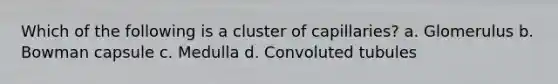 Which of the following is a cluster of capillaries? a. Glomerulus b. Bowman capsule c. Medulla d. Convoluted tubules