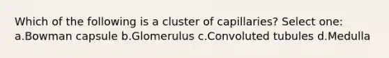 Which of the following is a cluster of capillaries? Select one: a.Bowman capsule b.Glomerulus c.Convoluted tubules d.Medulla