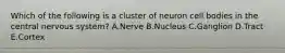 Which of the following is a cluster of neuron cell bodies in the central nervous system? A.Nerve B.Nucleus C.Ganglion D.Tract E.Cortex