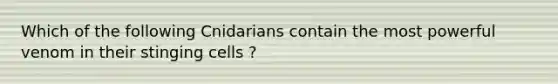 Which of the following Cnidarians contain the most powerful venom in their stinging cells ?