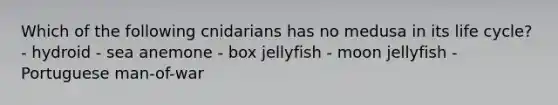 Which of the following cnidarians has no medusa in its life cycle? - hydroid - sea anemone - box jellyfish - moon jellyfish - Portuguese man-of-war