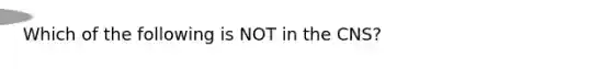 Which of the following is NOT in the CNS?