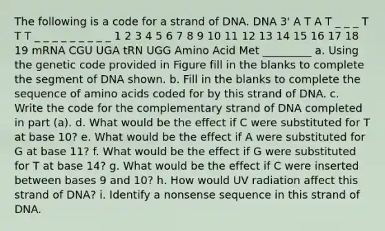 The following is a code for a strand of DNA. DNA 3' A T A T _ _ _ T T T _ _ _ _ _ _ _ _ _ 1 2 3 4 5 6 7 8 9 10 11 12 13 14 15 16 17 18 19 mRNA CGU UGA tRN UGG Amino Acid Met _________ a. Using the genetic code provided in Figure fill in the blanks to complete the segment of DNA shown. b. Fill in the blanks to complete the sequence of amino acids coded for by this strand of DNA. c. Write the code for the complementary strand of DNA completed in part (a). d. What would be the effect if C were substituted for T at base 10? e. What would be the effect if A were substituted for G at base 11? f. What would be the effect if G were substituted for T at base 14? g. What would be the effect if C were inserted between bases 9 and 10? h. How would UV radiation affect this strand of DNA? i. Identify a nonsense sequence in this strand of DNA.