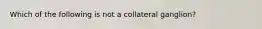 Which of the following is not a collateral ganglion?