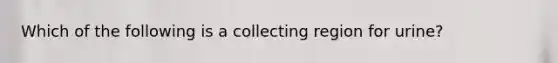 Which of the following is a collecting region for urine?