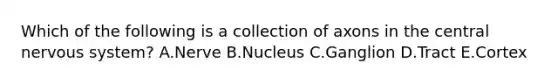 Which of the following is a collection of axons in the central <a href='https://www.questionai.com/knowledge/kThdVqrsqy-nervous-system' class='anchor-knowledge'>nervous system</a>? A.Nerve B.Nucleus C.Ganglion D.Tract E.Cortex