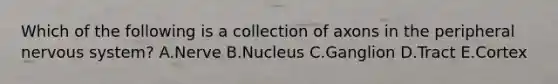 Which of the following is a collection of axons in the peripheral nervous system? A.Nerve B.Nucleus C.Ganglion D.Tract E.Cortex