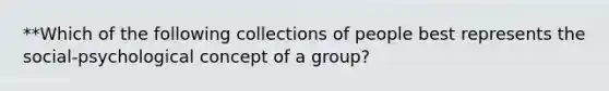 **Which of the following collections of people best represents the social-psychological concept of a group?