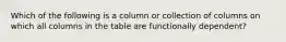 Which of the following is a column or collection of columns on which all columns in the table are functionally dependent?