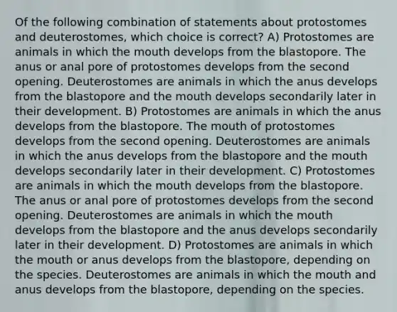 Of the following combination of statements about protostomes and deuterostomes, which choice is correct? A) Protostomes are animals in which the mouth develops from the blastopore. The anus or anal pore of protostomes develops from the second opening. Deuterostomes are animals in which the anus develops from the blastopore and the mouth develops secondarily later in their development. B) Protostomes are animals in which the anus develops from the blastopore. The mouth of protostomes develops from the second opening. Deuterostomes are animals in which the anus develops from the blastopore and the mouth develops secondarily later in their development. C) Protostomes are animals in which the mouth develops from the blastopore. The anus or anal pore of protostomes develops from the second opening. Deuterostomes are animals in which the mouth develops from the blastopore and the anus develops secondarily later in their development. D) Protostomes are animals in which the mouth or anus develops from the blastopore, depending on the species. Deuterostomes are animals in which the mouth and anus develops from the blastopore, depending on the species.