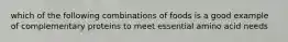 which of the following combinations of foods is a good example of complementary proteins to meet essential amino acid needs