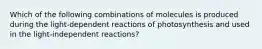 Which of the following combinations of molecules is produced during the light-dependent reactions of photosynthesis and used in the light-independent reactions?