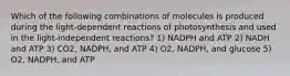 Which of the following combinations of molecules is produced during the light-dependent reactions of photosynthesis and used in the light-independent reactions? 1) NADPH and ATP 2) NADH and ATP 3) CO2, NADPH, and ATP 4) O2, NADPH, and glucose 5) O2, NADPH, and ATP