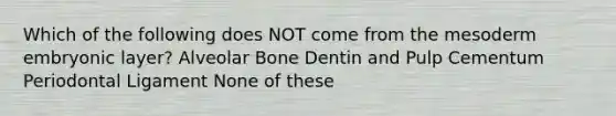 Which of the following does NOT come from the mesoderm embryonic layer? Alveolar Bone Dentin and Pulp Cementum Periodontal Ligament None of these